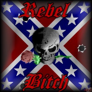 Rebel Confederate Flag