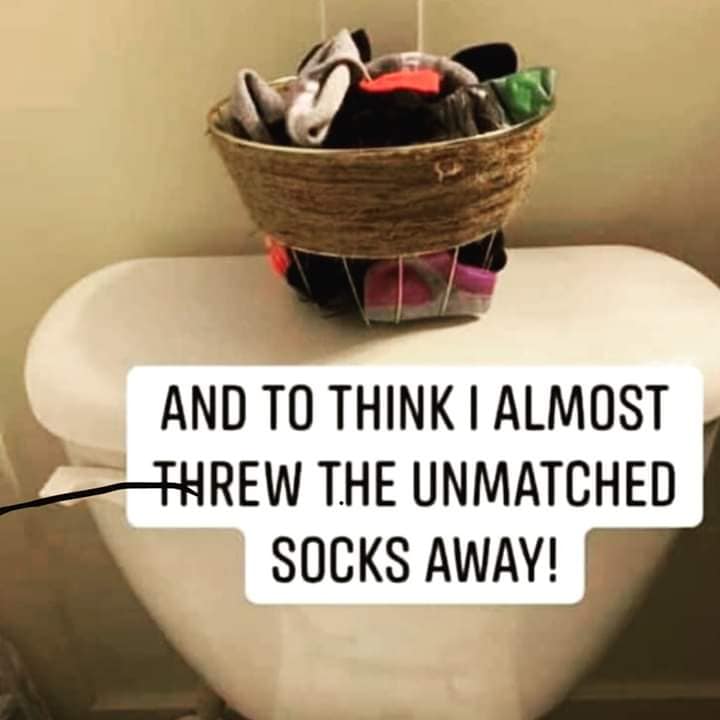 Socks